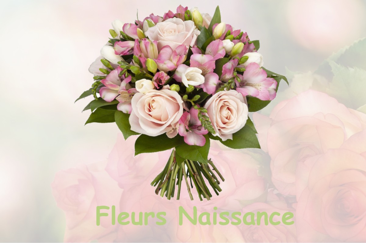 fleurs naissance GOUSSE