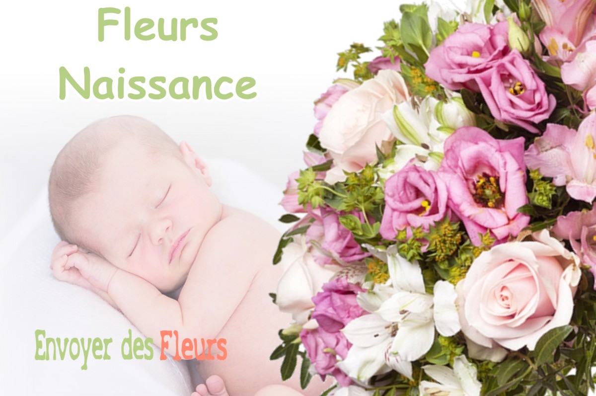 lIVRAISON FLEURS NAISSANCE à GOUSSE